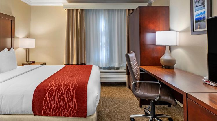 Comfort Inn Room