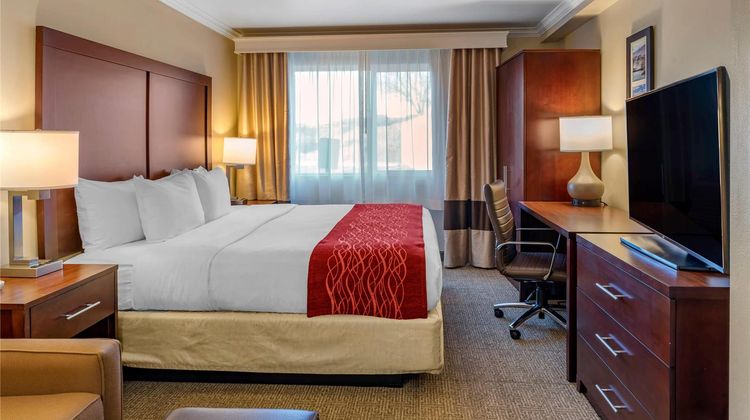 Comfort Inn Suite