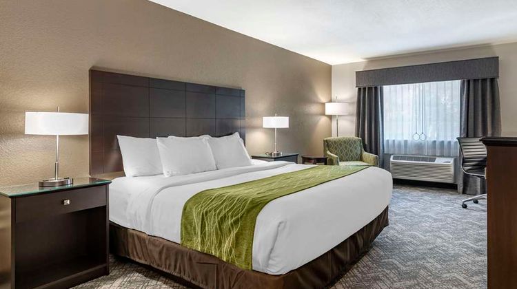 Comfort Inn & Suites Lake Oswego South Room