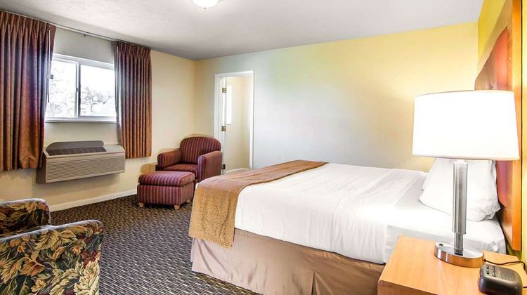 Quality Inn & Suites Coos Bay Suite