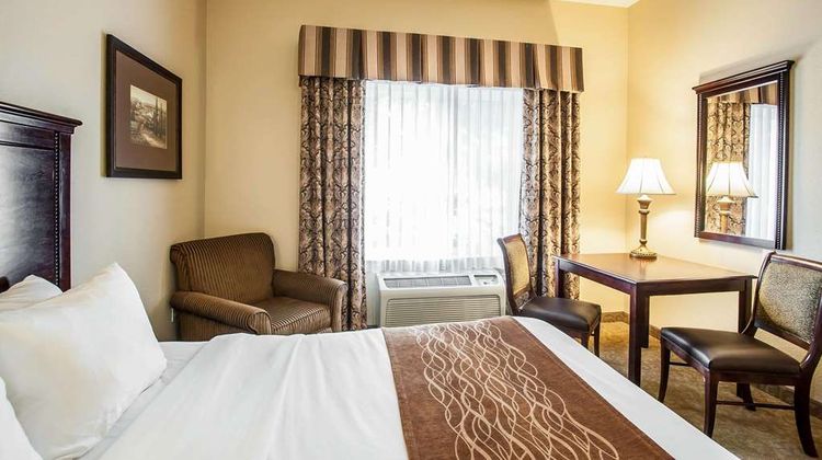 Comfort Inn & Suites Room
