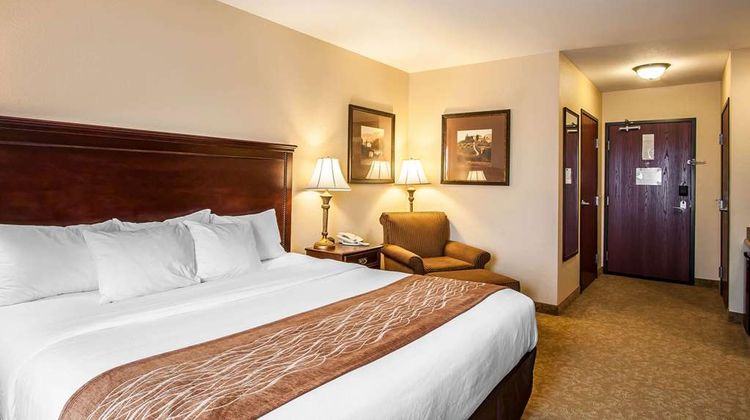 Comfort Inn & Suites Room