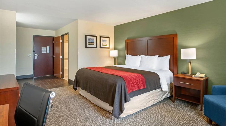 Comfort Inn & Suites Room