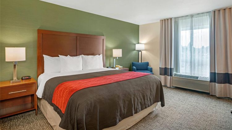 Comfort Inn & Suites Room
