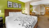 <b>Sleep Inn & Suites Room</b>. Images powered by <a href="https://iceportal.shijigroup.com/" title="IcePortal" target="_blank">IcePortal</a>.