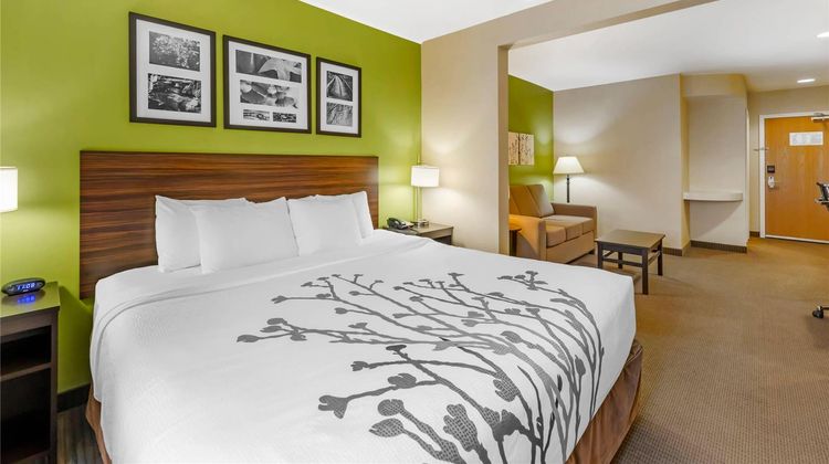 Sleep Inn & Suites Room