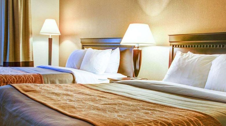 <b>Quality Inn Florence Room</b>. Images powered by <a href="https://iceportal.shijigroup.com/" title="IcePortal" target="_blank">IcePortal</a>.