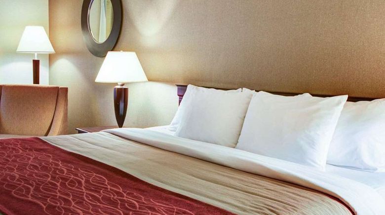 <b>Quality Inn Florence Room</b>. Images powered by <a href="https://iceportal.shijigroup.com/" title="IcePortal" target="_blank">IcePortal</a>.
