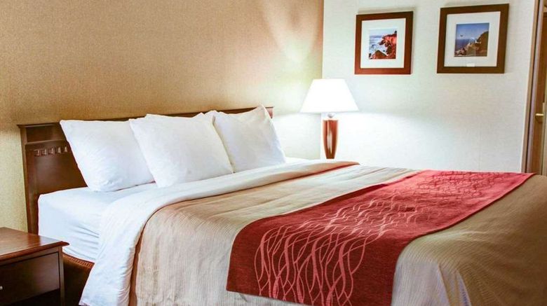 <b>Quality Inn Florence Room</b>. Images powered by <a href="https://iceportal.shijigroup.com/" title="IcePortal" target="_blank">IcePortal</a>.