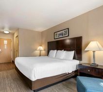 Comfort Inn Columbia Gorge Gateway Room