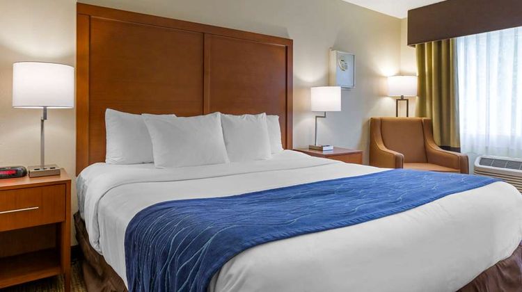Comfort Inn South Room