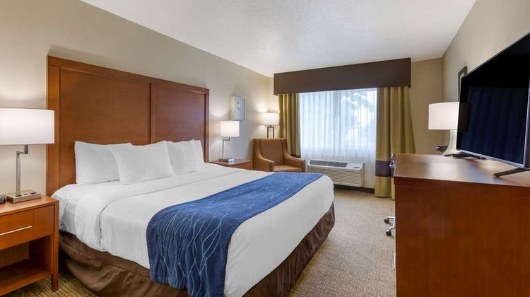 Comfort Inn South Room
