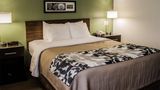 <b>Sleep Inn Johnstown Room</b>. Images powered by <a href="https://iceportal.shijigroup.com/" title="IcePortal" target="_blank">IcePortal</a>.