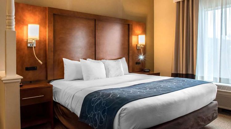 Comfort Suites Hotel Room