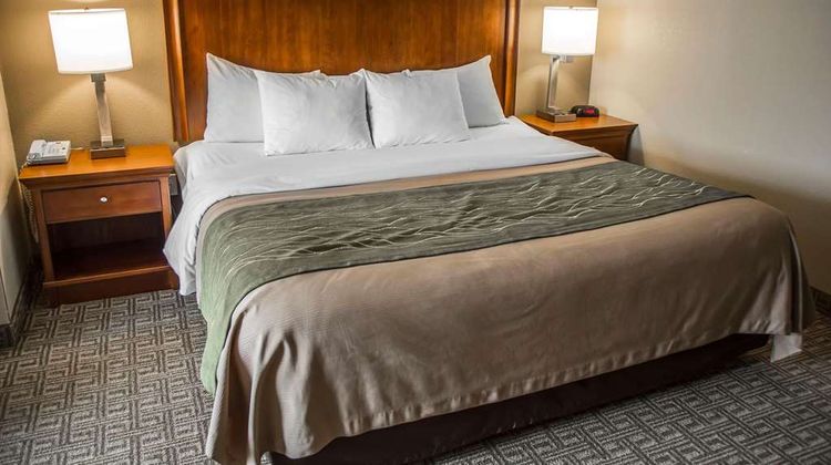 Quality Inn & Suites Room
