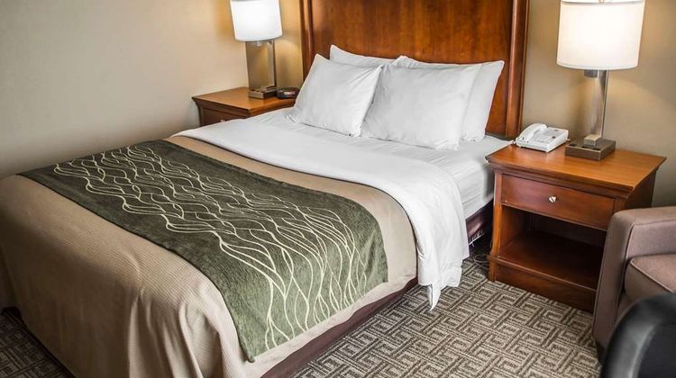 Quality Inn & Suites Room