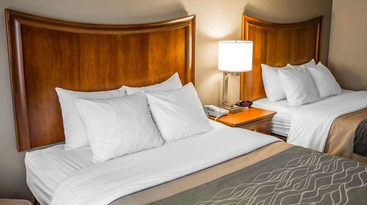 Quality Inn & Suites Room