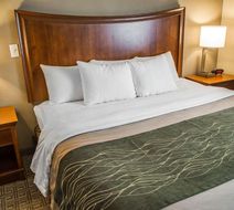 Quality Inn & Suites Room