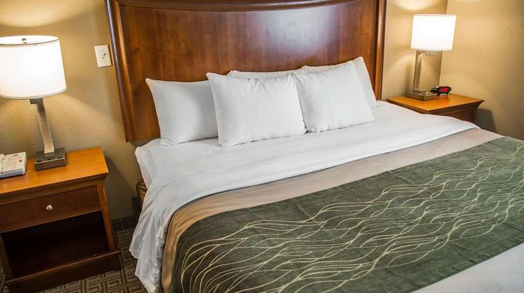 Quality Inn & Suites Room