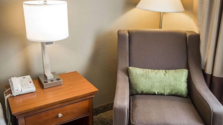 Quality Inn & Suites Room