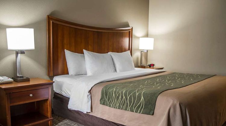 Quality Inn & Suites Room