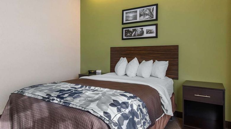 <b>Sleep Inn Carlisle Room</b>. Images powered by <a href="https://iceportal.shijigroup.com/" title="IcePortal" target="_blank">IcePortal</a>.