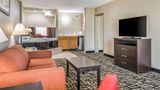 Quality Inn and Suites York East Suite