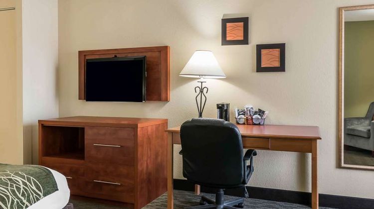 Comfort Inn Pine Grove Room
