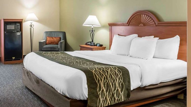 Comfort Inn Pine Grove Room