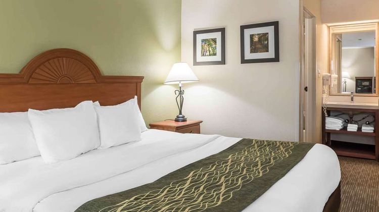 Comfort Inn Pine Grove Room