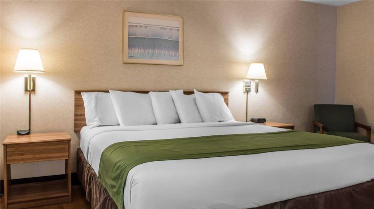 Quality Inn Arena Room