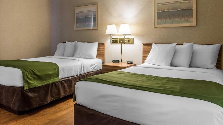 Quality Inn Arena Room
