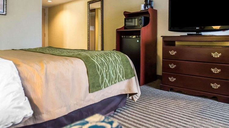 Quality Inn Mill Hall Room