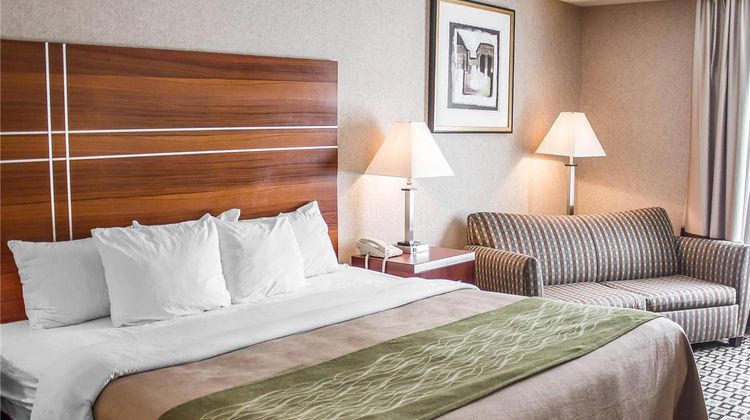 Quality Inn Clarion Room