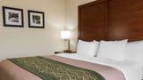 Comfort Inn - Pocono Mountain Room