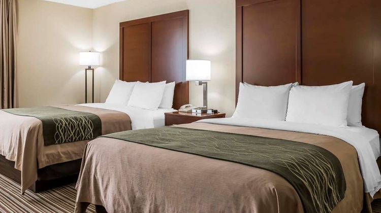 Comfort Inn - Pocono Mountain Room