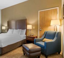 Comfort Inn Mechanicsburg-Harrisburg S Room