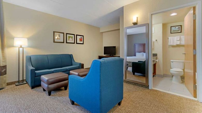 <b>Comfort Inn Mechanicsburg-Harrisburg S Suite</b>. Images powered by <a href="https://iceportal.shijigroup.com/" title="IcePortal" target="_blank">IcePortal</a>.