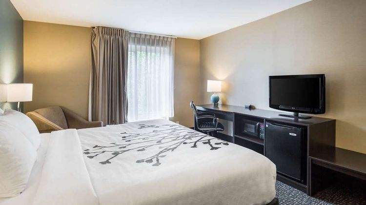 Sleep Inn & Suites Scranton Dunmore Room