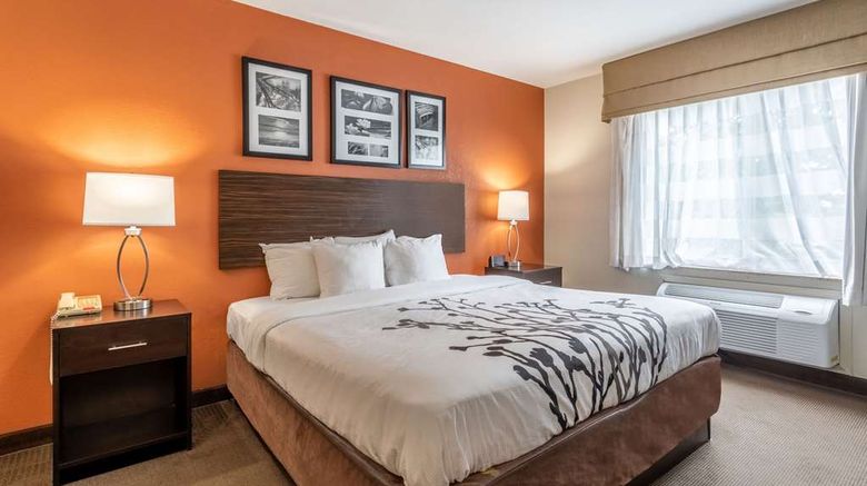 <b>Sleep Inn & Suites Ronks Room</b>. Images powered by <a href="https://iceportal.shijigroup.com/" title="IcePortal" target="_blank">IcePortal</a>.