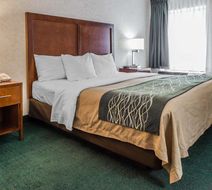 Quality Inn Waynesburg Room