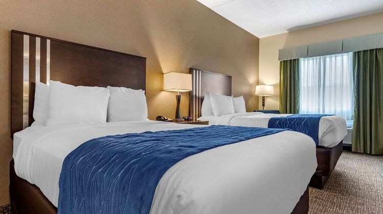 Comfort Inn & Suites Room