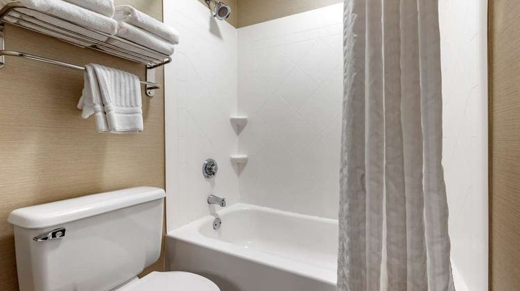 Comfort Inn & Suites Room