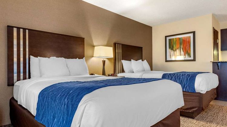 Comfort Inn & Suites Room