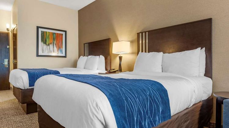 Comfort Inn & Suites Room
