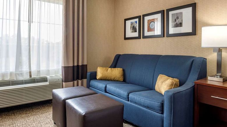 <b>Comfort Inn Meadowlands Room</b>. Images powered by <a href="https://iceportal.shijigroup.com/" title="IcePortal" target="_blank">IcePortal</a>.