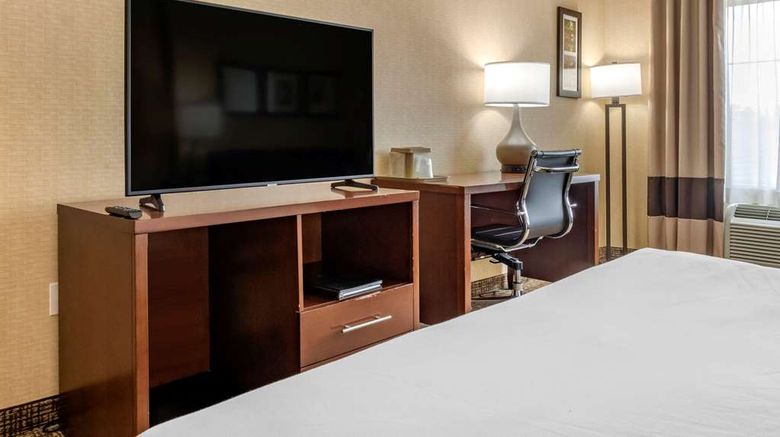 <b>Comfort Inn Meadowlands Room</b>. Images powered by <a href="https://iceportal.shijigroup.com/" title="IcePortal" target="_blank">IcePortal</a>.