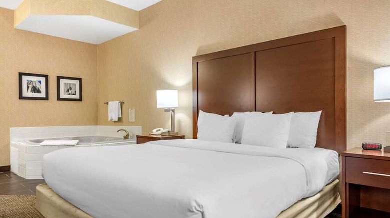 <b>Comfort Inn Meadowlands Suite</b>. Images powered by <a href="https://iceportal.shijigroup.com/" title="IcePortal" target="_blank">IcePortal</a>.