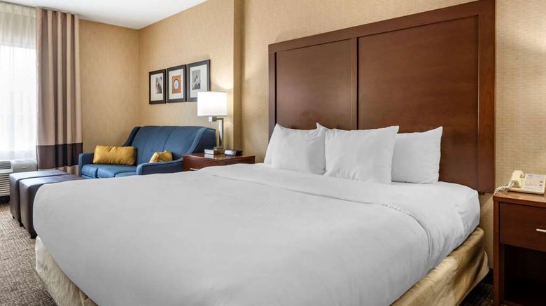 <b>Comfort Inn Meadowlands Room</b>. Images powered by <a href="https://iceportal.shijigroup.com/" title="IcePortal" target="_blank">IcePortal</a>.