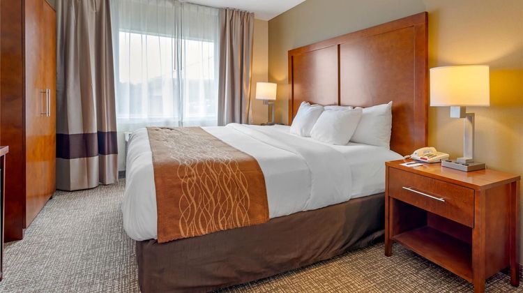 Comfort Inn & Suites Wilkes-Barre Suite